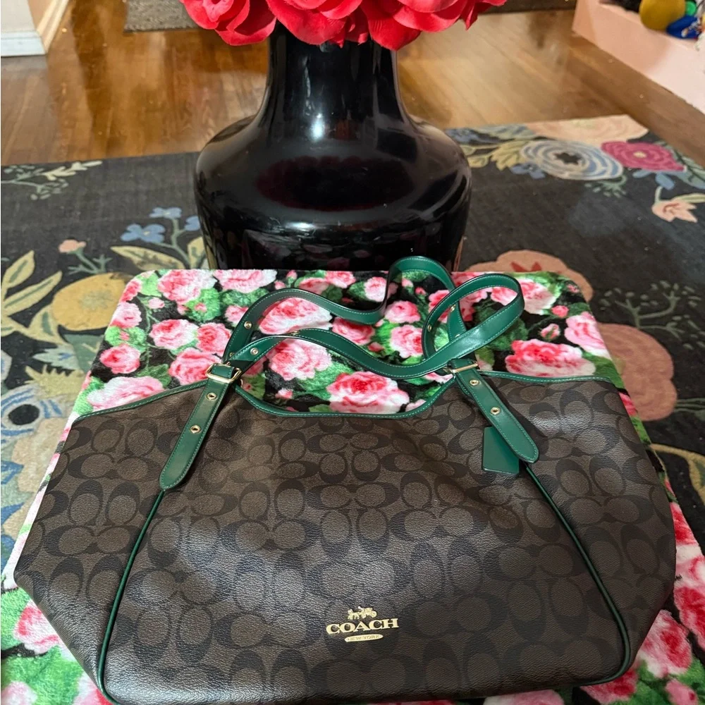 Coach Signature Brown and Green Shoulder Bag - Picture 1 of 7